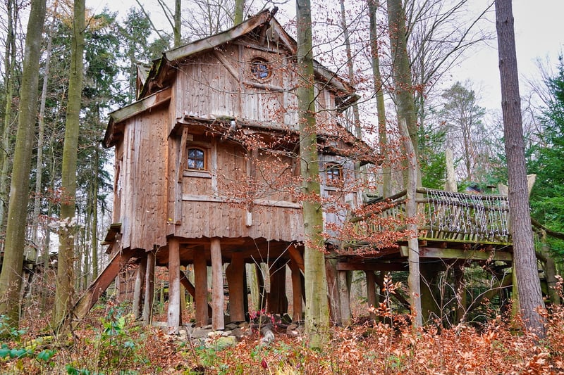 Treehouse Retreat